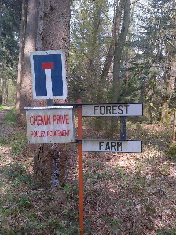 Forest Farm Bois-Jerome-Saint-Ouen Quarto foto